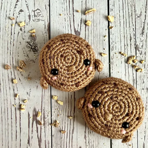Tiktok crochet peojects